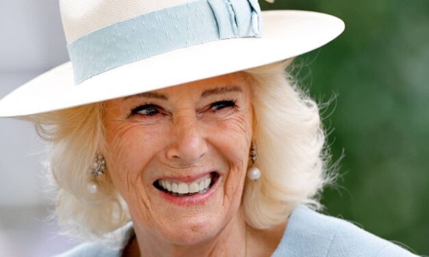 La reine Camilla qualifiée d' »exquise » dans un nouveau portrait saisissant